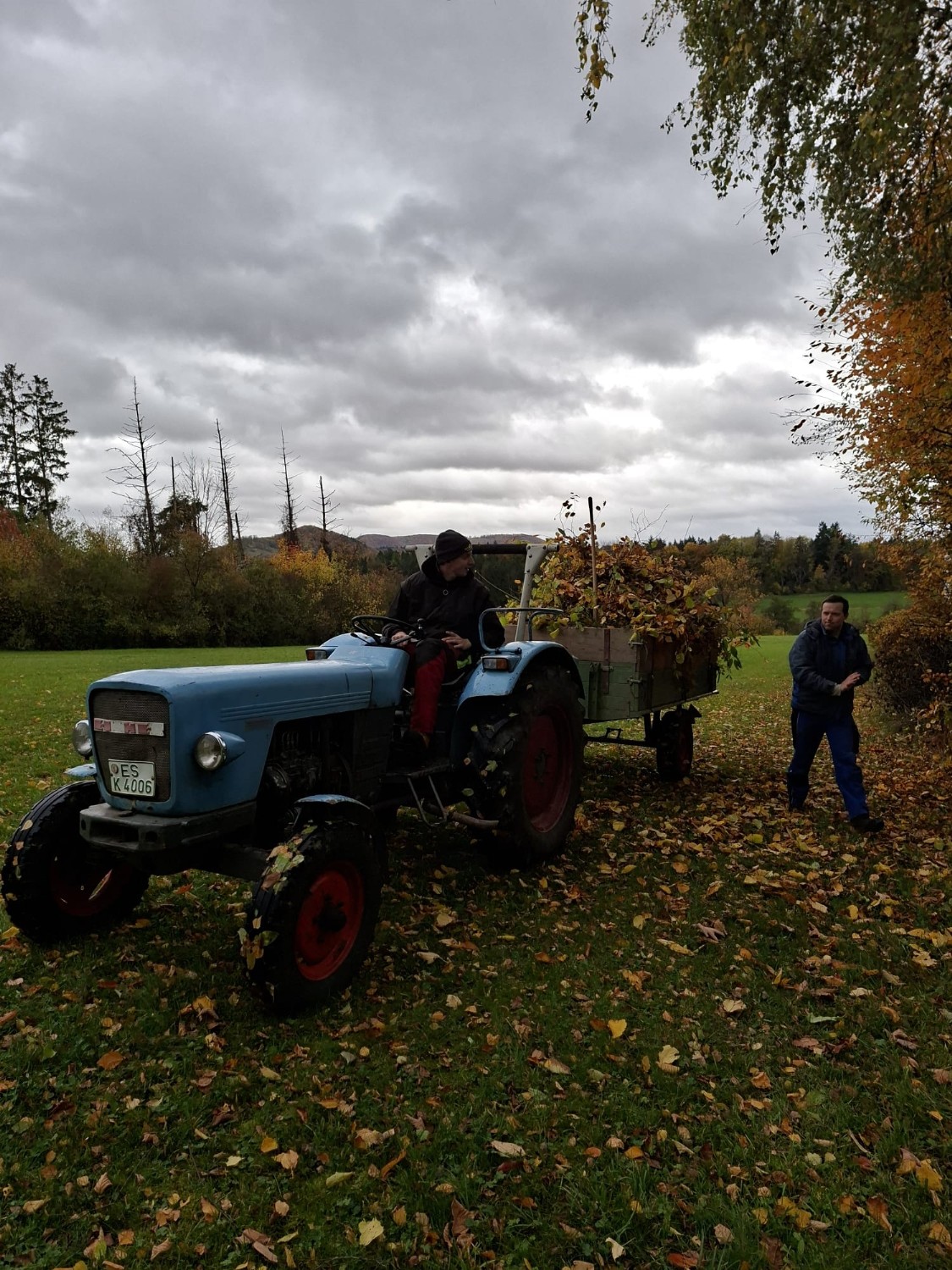 Titelbild Arbeitseinsatz Herbst